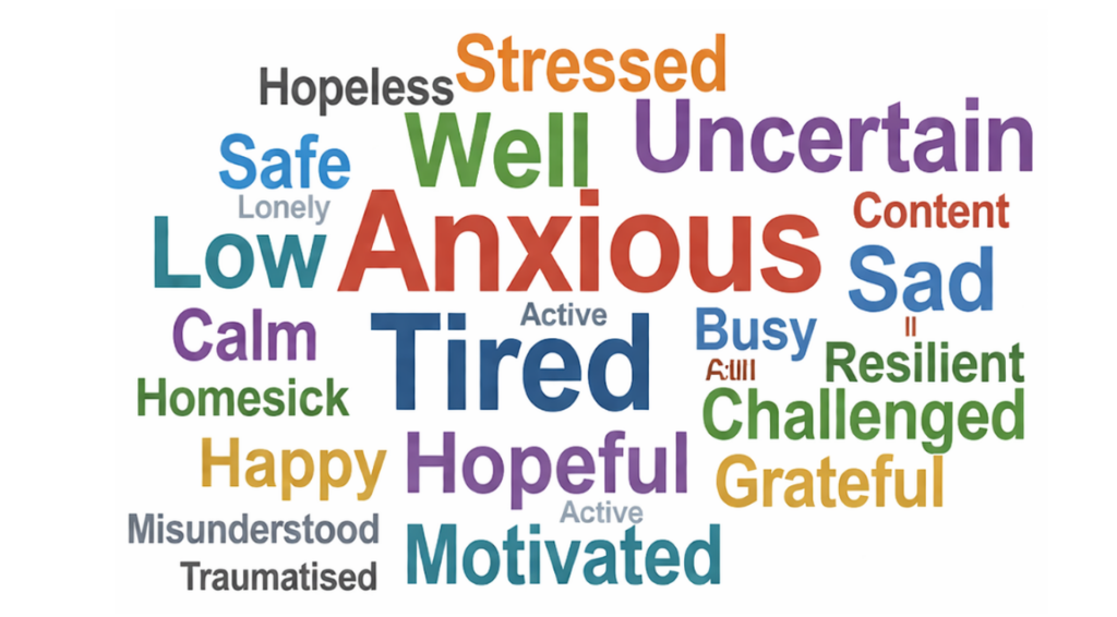 Word cloud expressing day-to-day experiences of Ukrainians living in Bristol
